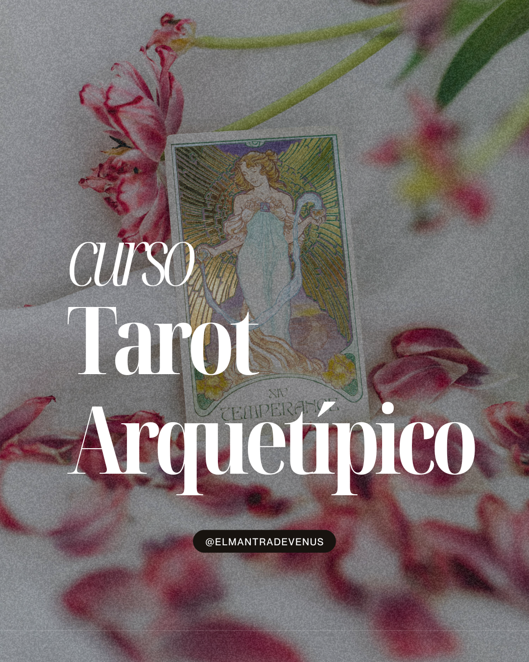 Curso Básico de Tarot Arquetípico